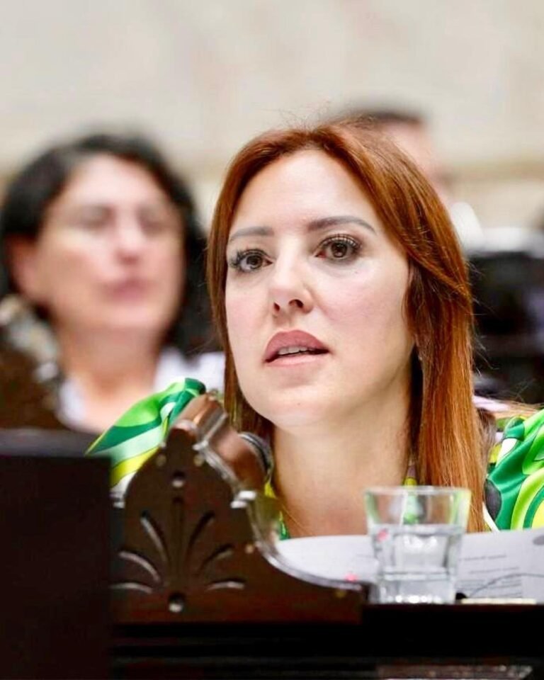 ROXANA MONZÓN VOTÓ NEGATIVAMENTE LA LEY DE BASES