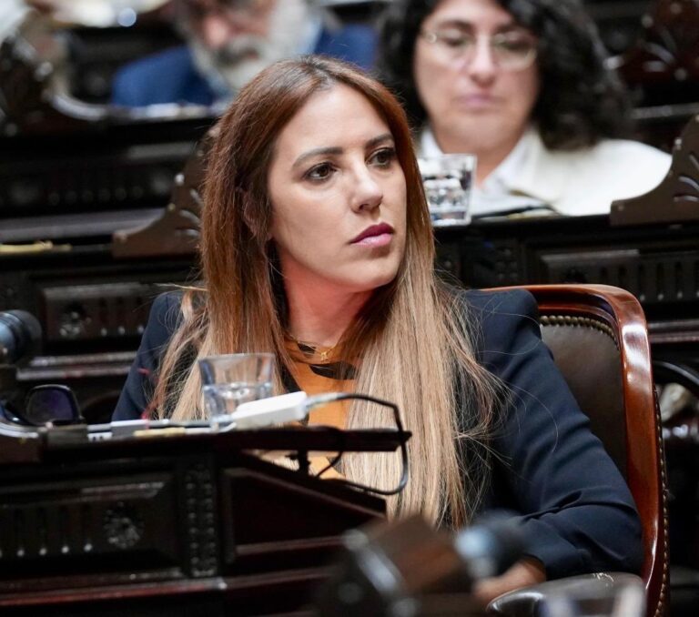 LA DIPUTADA ROXANA MONZÓN CRITICÓ EL PROYECTO “FICHA LIMPIA”