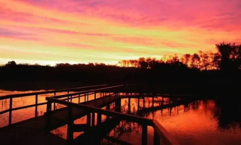NOCHE DE LUNA LLENA: CAMINATA GUIADA EN LA RESERVA NATURAL DE PILAR