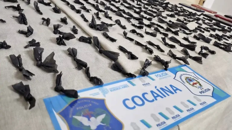 OPERATIVO ANTIDROGA: UNA MUJER FUE ARRESTADA Y SECUESTRARON MÁS DE 240 DOSIS DE COCAÍNA